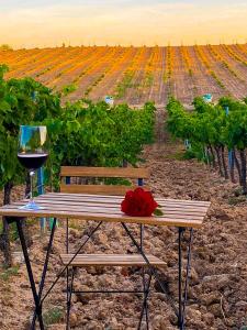 una mesa de picnic con una copa de vino y un viñedo en FINCA VALDELAJARA a 20 minutos de Puy du Fou en Toledo