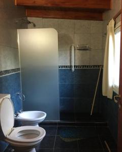 a bathroom with a toilet and a shower at Paz y Armonia Habitaciones in Mina Clavero