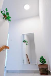 Gallery image of Comfy Sofy 21- Backyard Garden- Night Market area in Cameron Highlands