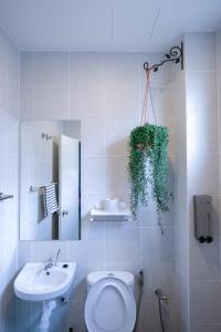 Gallery image of Comfy Sofy 21- Backyard Garden- Night Market area in Cameron Highlands