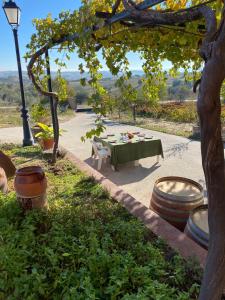 a picnic table in a garden under a tree at FINCA VALDELAJARA a 20 minutos de Puy du Fou in Toledo