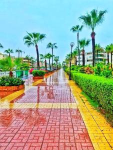 A garden outside 2bed rooms 95m, Garden&sea view, first floor, Family only دور اول بمدخل مستقل
