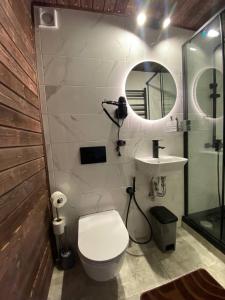 bagno con servizi igienici, lavandino e specchio di Karpatski Dzherela a Jaremče