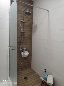 y baño con ducha y puerta de cristal. en Lovely luxury apartment Sokratous 133, Kallithea, en Atenas