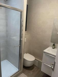 a bathroom with a toilet and a glass shower at Cocon Cosy Nancy centre in Nancy +3 photos