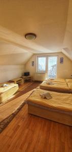 Großes Zimmer mit 2 Betten. in der Unterkunft Privat Ivan in Veľká Lomnica