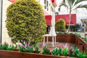 Gallery image of Eco Hotel in Navegantes