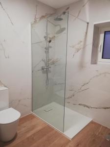 a glass shower in a bathroom with a toilet at Da' Vila - Alojamento Local in Ponte de Lima +35 photos