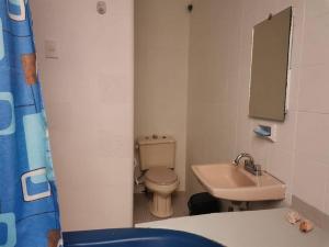 a small bathroom with a toilet and a sink at Encantador - céntrico - apacible departamento en la Roma Norte. in Mexico City
