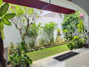 A garden outside Griya Asih