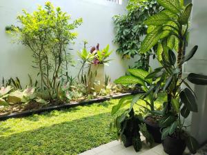 A garden outside Griya Asih