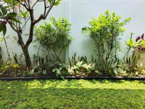 A garden outside Griya Asih