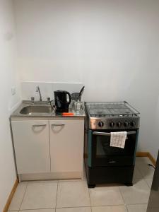 a kitchen with a stove and a sink at Viña City Hostel II in Viña del Mar