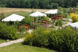 a garden with tables and umbrellas in a field at Karczma Maciejówka in Czajowice