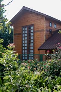 Edificio en el que se encuentra la casa o chalet