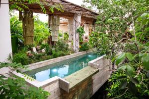 a swimming pool in front of a house with trees at Orchid House Tulum in Tulum