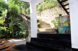 Κήπος έξω από το Villa Dineth