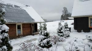 Safari House v zimě