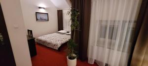 Galeriebild der Unterkunft Hotel Graal Targowisko in Targowisko + 56 Fotos