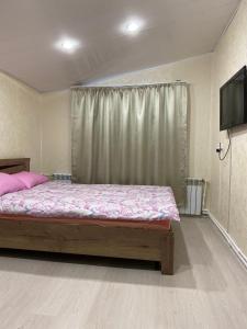 バイカリスクにあるBerezovy Guest Houseのベッドルーム(ピンクのシーツとテレビ付きのベッド1台付)