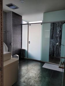 a bathroom with a shower and a glass door at 綠堤泰安民宿 in Taitung City