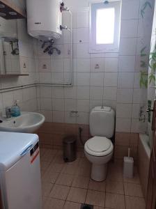 a bathroom with a toilet and a sink at DESPOINA APARTMENT with garden in Néa Michanióna