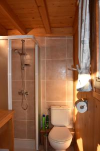 Bilik mandi di Chalet L'Armoy +29 gambar