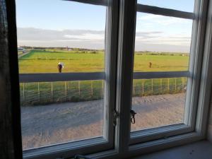 a window with a view of a horse in a field at Augustas Bed & Breakfast in Falkenberg