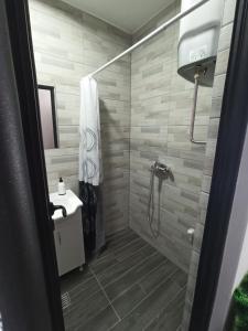 een badkamer met douche en wastafel bij Apartman Studio LASTIN PUT Divčibare in Divčibare