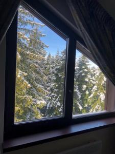 Borovets Forest view (A56) during the winter