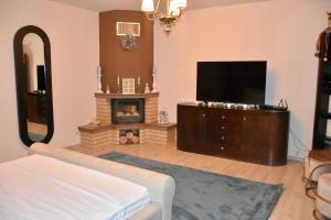 a living room with a television and a fireplace at JANINE GARDEN in Braşov
