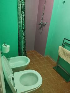 bagno verde con servizi igienici e doccia di Démodé a Cortona