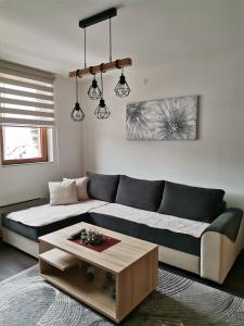 Gallery image of Sunčani Breg apartman 10 in Kopaonik