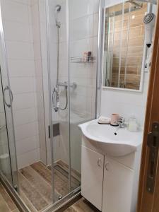 Koupelna v ubytování Sunčani Breg apartman 10