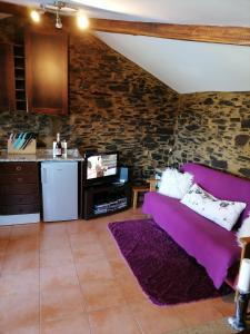 uma sala de estar com um sofá roxo e uma televisão em Bela Vista Alqueve - 2 houses with pool, 2 casas com piscina em Arganil