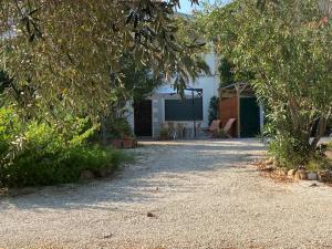 Vườn quanh Isola d'Elba casa vacanze - Villa Portello - magnetite - la casina