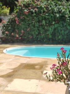 a small blue swimming pool in a yard with flowers at Pousada da Vivi in Maracaipe
