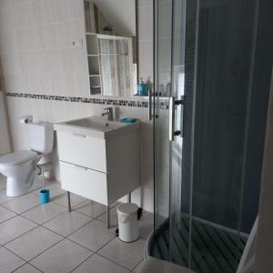 een badkamer met een douche, een wastafel en een toilet bij Les 4 vents in Vineuil