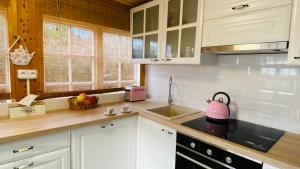 Cucina o angolo cottura di Chata Terezka