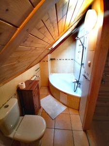 e bagno con servizi igienici e vasca. di Kamratowo a Wisła
