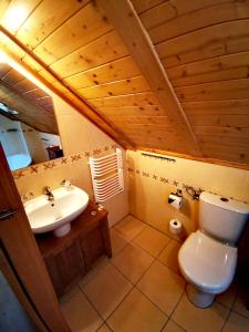 un bagno con un water bianco e un lavandino di Kamratowo a Wisła Altre 37 foto