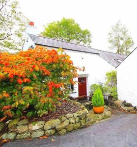 Ballyclare的住宿－Riverside Cottage at Logwood Mill，白色的房子,有红色的门和一些花