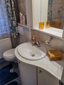 Bilik mandi di Bellevue Apartment with AC & heating & terrace +14 gambar
