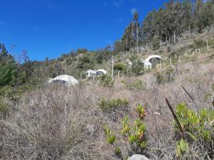 a hill with a bunch of white structures on it at Glamping NIDO VERDE in Iza