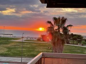 a palm tree in front of a beach at sunset at PRADO PLAGE in Marseille
