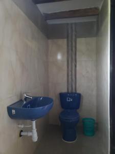 łazienka z błękitną umywalką i toaletą w obiekcie Hostal Pachamama w mieście San Agustín