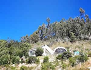 伊萨Glamping NIDO VERDE的山坡上的一所房子