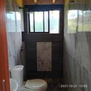 a bathroom with a toilet and a window at Refugio MALUAN.. Cabaña Villa Nepo in Paipa