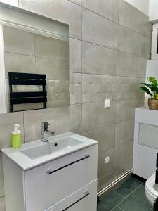 een badkamer met een witte wastafel en een spiegel bij Bohème Spa Appartement privatif avec jacuzzi in Orléans