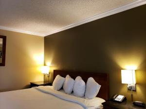 Postel nebo postele na pokoji v ubytování Extend-a-Suites - Extended Stay, I-40 Amarillo West